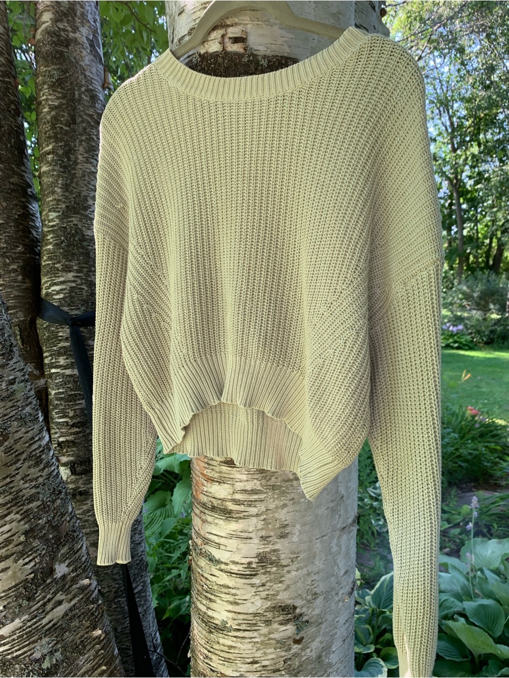 Aeropostale Pale Sage Cropped Crewneck Sweater